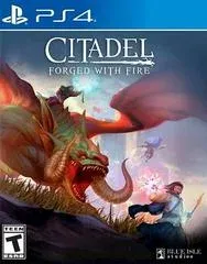 Citadel: Forged With Fire