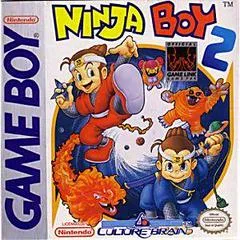 Ninja Boy 2